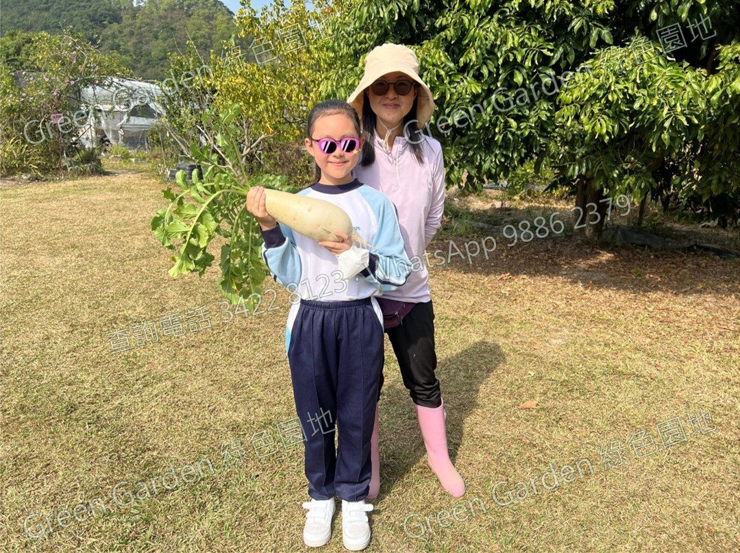 採收有機蔬果體驗