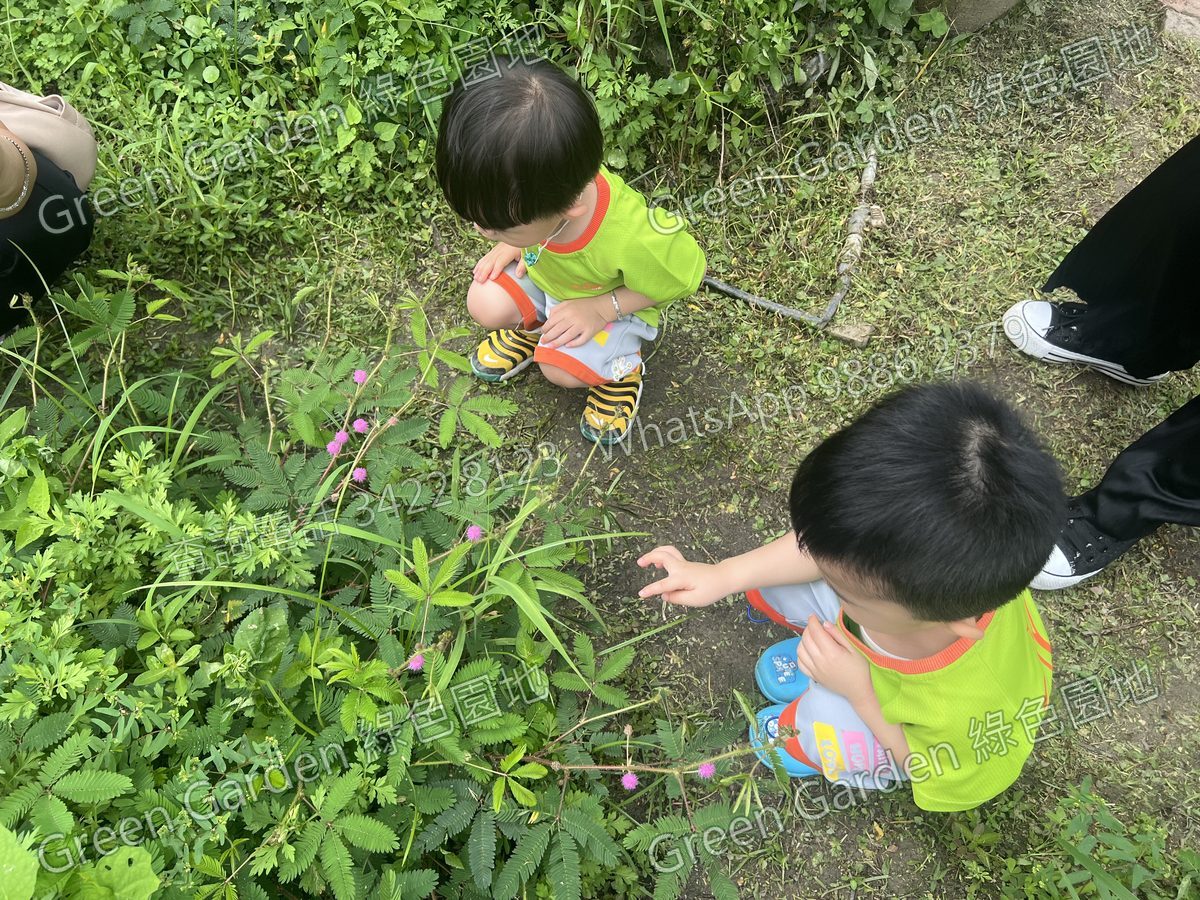 農地「五感」體驗